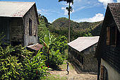 La Griveliére (old colonial coffee plantation), Vallée de Grande Rivière, 97119 Vieux Habitants, Guadeloupe (Basse Terre), French West Indies. tel: 0590 98 3414