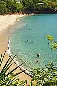Anse de Baille Argent (tra Pointe Noire a Dehais), Guadeloupe (Basse Terre), French West Indies
