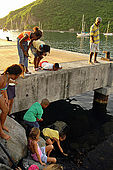 Bambini cercando di prendere un pesce, Deshaies, Guadeloupe (Basse Terre), French West Indies