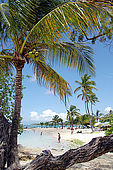 Plage de Sainte-Anne, Guadeloupe (Grande Terre), French West Indies