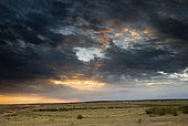 Sunset over the Masai Mara after a rainstorm