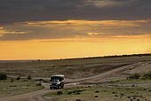 A truckload of tourists returning at dusk after a safari in the Mara