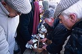 France, Lot, Quercy region village Lalbenque marché du mardi marchandages, on sent et on palpe les truffes pour évaluer leur qualité editorial only
