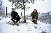 France, Lot, Quercy region vers le village Rocamadour producteur de truffes recherche de truffes en janvier avec un chien Patrick Boris model release OK