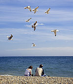 Couple on Brighton beach with sea gulls flying overhead