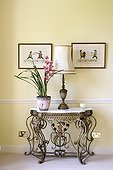 Lamp and orchid plant on metal side table
