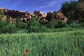 Tourbiste village, Dades Valley, Morocco