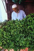 Mint seller, Dades Valley, Morocco