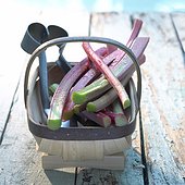 Rhubarb in a wooden basket on a wooden floor