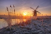 England, Suffolk, Herringfleet. A misty sunrise over hoar frosted reeds and Herringfleet Windmill in Suffolk.