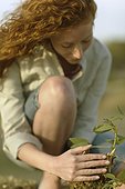 Young woman examining sapling sprouting from tree stump