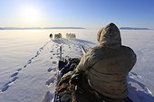 Danemark, Groenland, Scandinavie, Qaasuitsup - Inuit and his dog sled team near Qaanaaq
