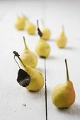 Ya li pears lined up on table