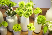 Cut Flowers in Vases