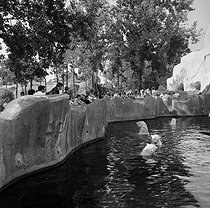 PHOTO DE PRESSE vintage Paris, Zoo Vincennes, Est Arrivé En Le Chaud, tirage EUR 20,10 - FR