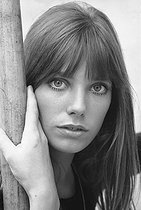 1946-2023 – La chanteuse et actrice Jane Birkin n'est plus