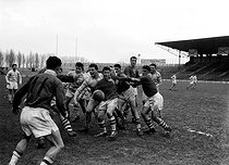 France Colombes Match De Rugby France- Pays De Galles Vintage